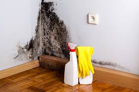 Best Mold Prevention Services  in Rialto, CA